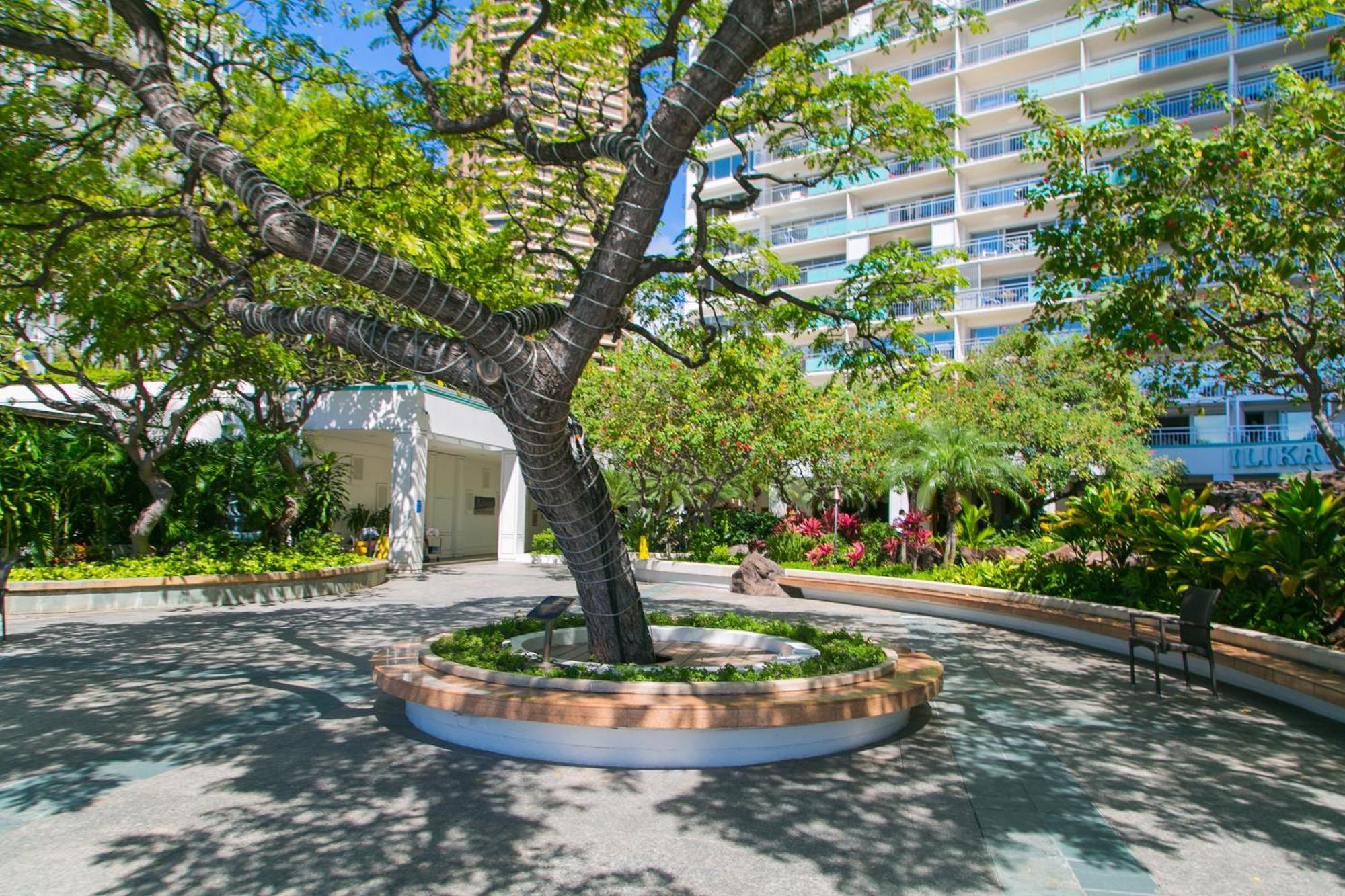 Ilikai Tower 1403 City View 1Br Honolulu Exterior photo